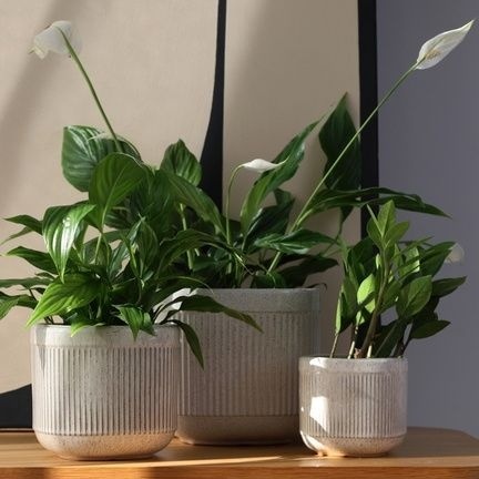 Osłonka ceramiczna beżowa doniczka przecierana stylowa brąz