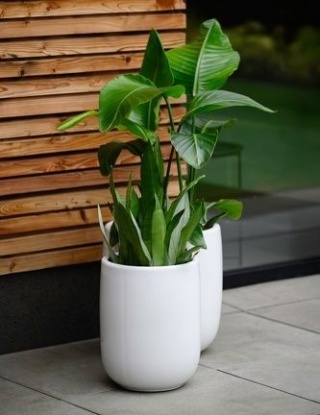 Osłonka duża ceramiczna donica biała na kwiaty połysk