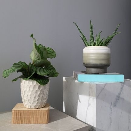 Osłonka na kwiaty doniczka ceramiczna vintage kremowa