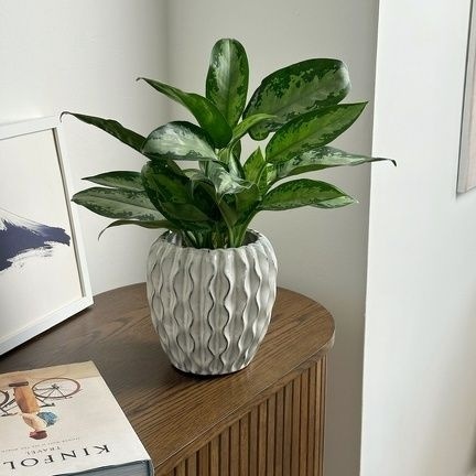 Osłonka doniczka ceramiczna mrozoodporna biała vintage