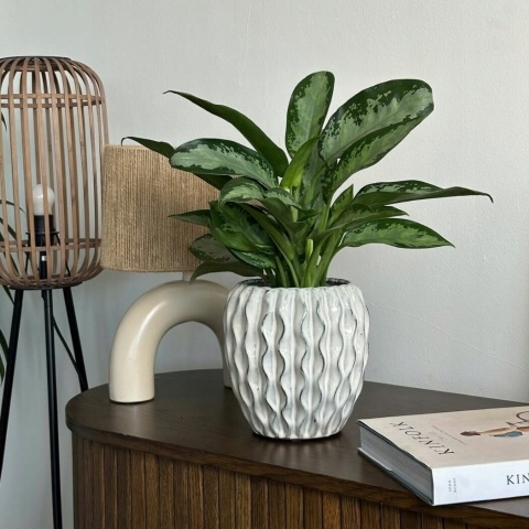 Osłonka doniczka ceramiczna mrozoodporna biała vintage