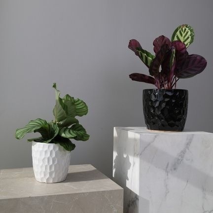 Osłonka doniczka biała ceramiczna na kwiaty ozdobna tłoczona