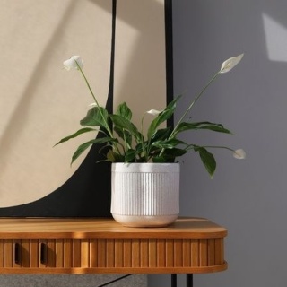 Osłonka ceramiczna biała doniczka nakrapiana marmur kwiaty