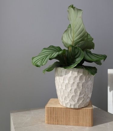 Osłonka doniczka ceramiczna na kwiaty kremowa vintage