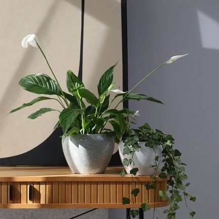 Osłonka doniczka ceramika szara na kwiaty marmur donica