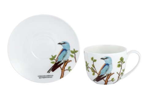 Filiżanka do herbaty kawy komplet w pudełku kraska Hajdecka porcelana ptaki polskie