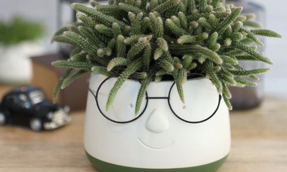 Fajne i tanie dodatki do domu – efekt Cię zaskoczy!