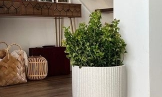 Ceramiczne osłonki na kwiaty wewnętrzne i zewnętrzne – trendy na wiosnę 2026